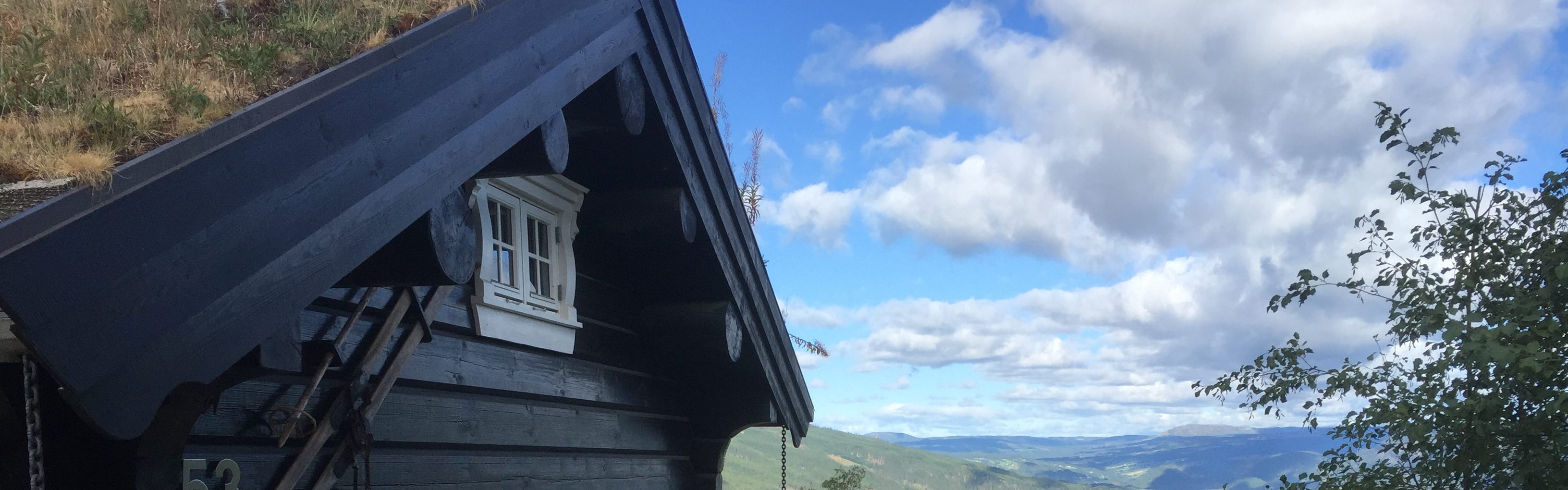 #nv_78 Møneåser i solide dimensjoner