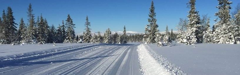 #nv_89 Trikkeskinner